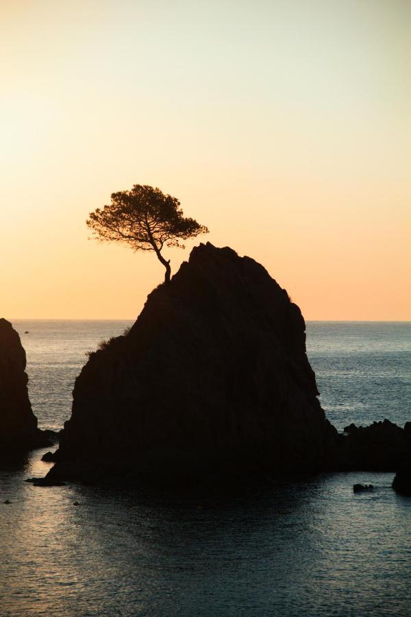 Mana Mana Youth Hostel Tossa de Mar Exteriér fotografie